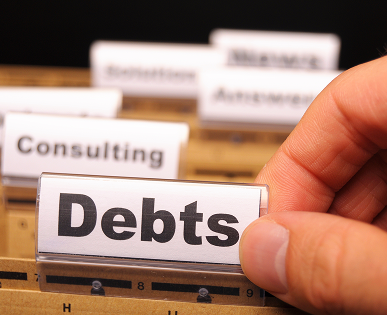 Debt Management Strategy